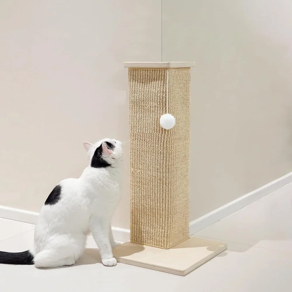 Roman Column Cat Ultimate Scratching Post(Any Size)
